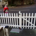 Bespoke fence/ gate