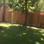 Fence before after